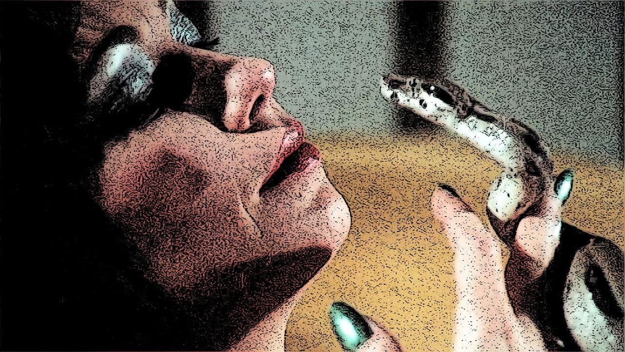 The Devil in Miss Jones Collection