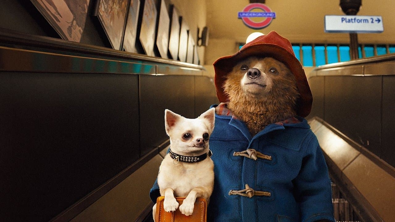 Ayı Paddington Koleksiyonu