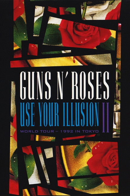 Guns N' Roses: Use Your Illusion World Tour – 1992 in Tokyo II