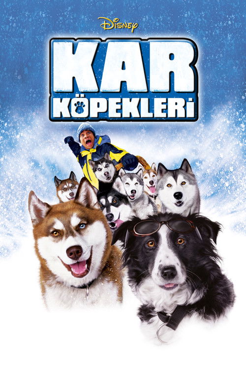 Kar Köpekleri