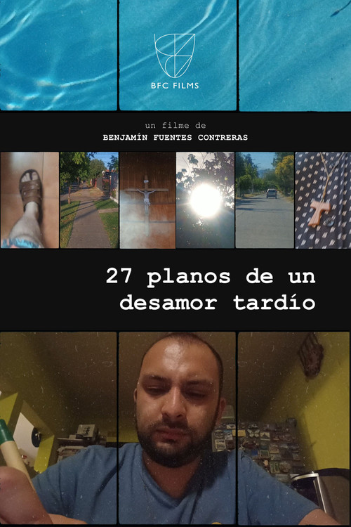 27 planos de un desamor tardío