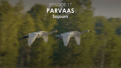 Episode 17