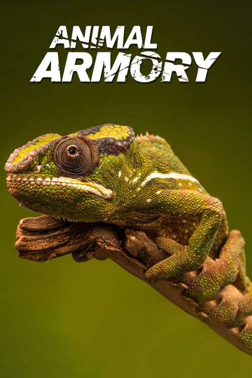 Animal's Armory