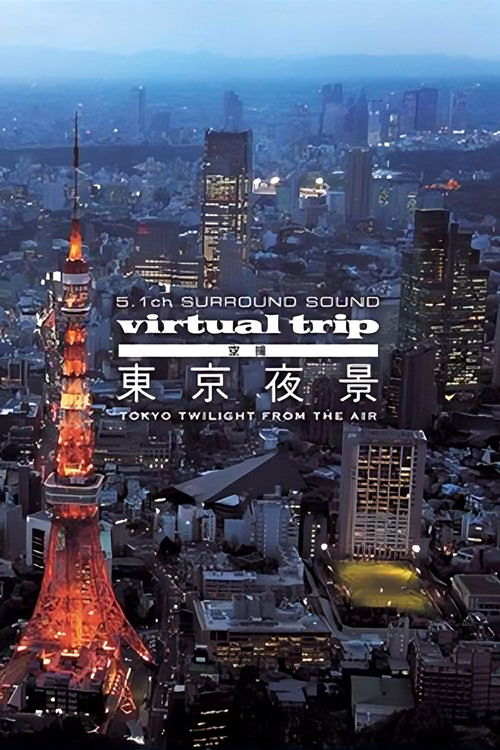 Virtual Trip Tokyo Twilight from the Air