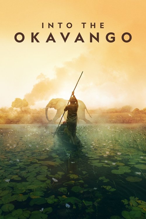 Kritik Görev: Okavango