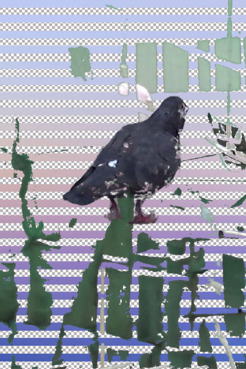 日 '''''''；''''''' 記