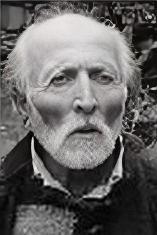 ვლადიმერ წულაძე